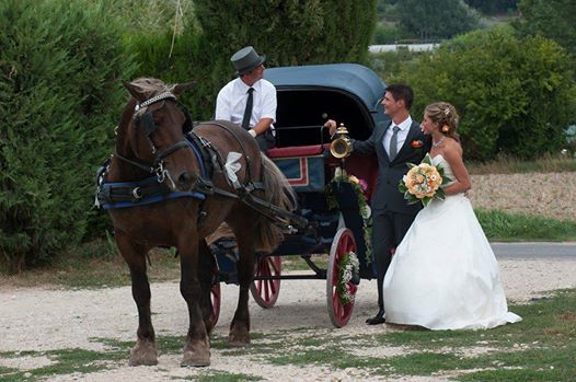 Location de calèche, balade, véhicule original